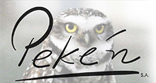 logo_peken